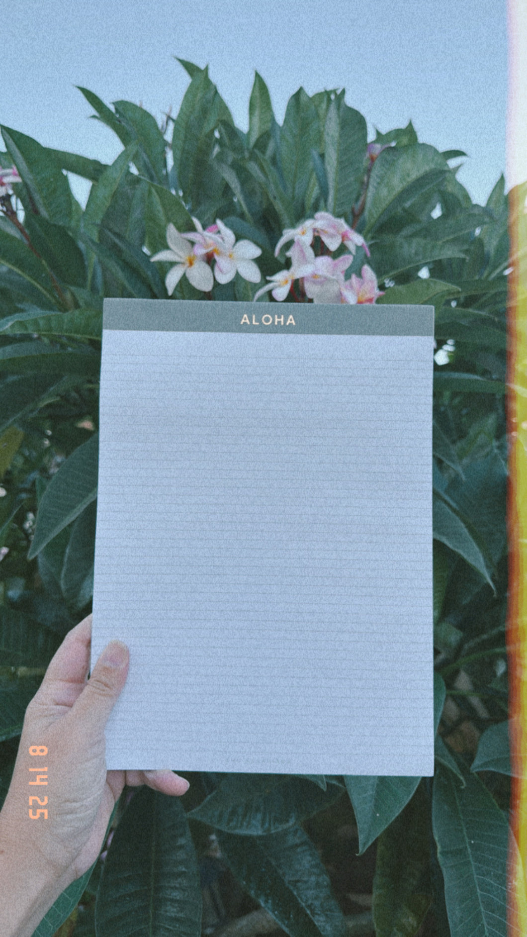 ALOHA | Legal Pad